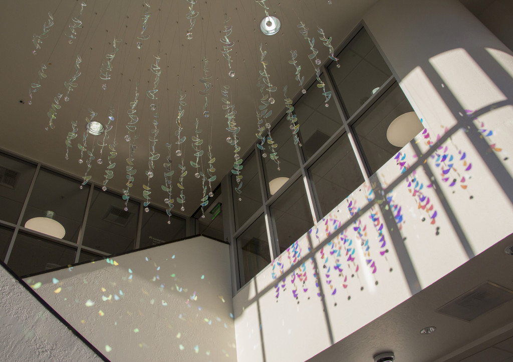 Petals of Light, 2022