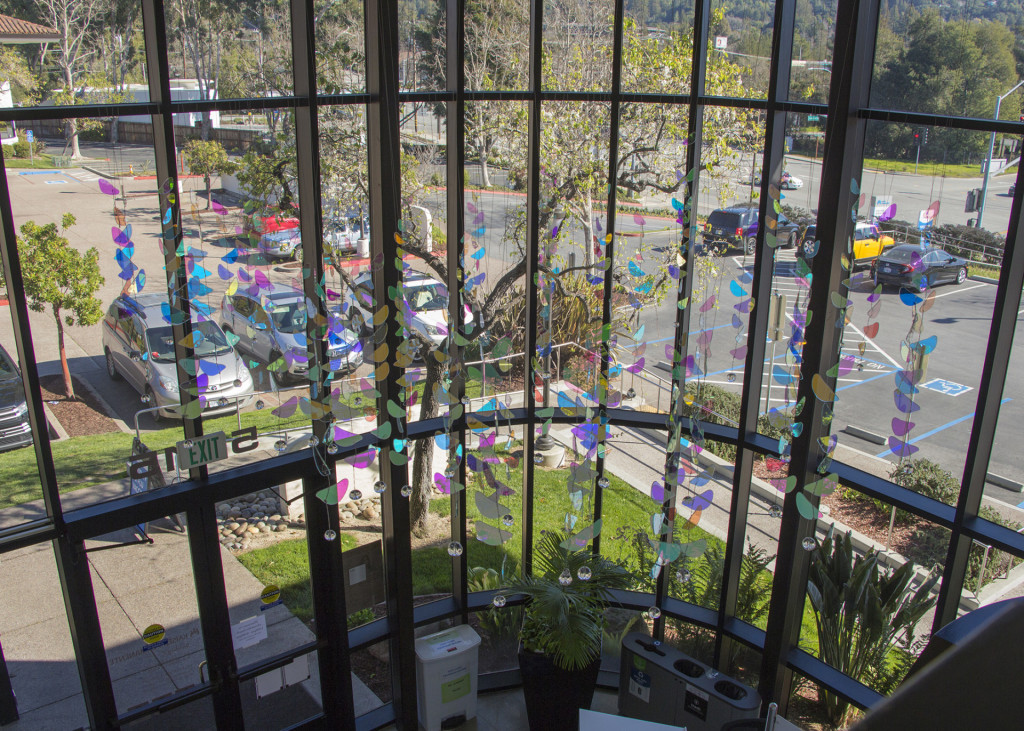 Petals of Light, 2022