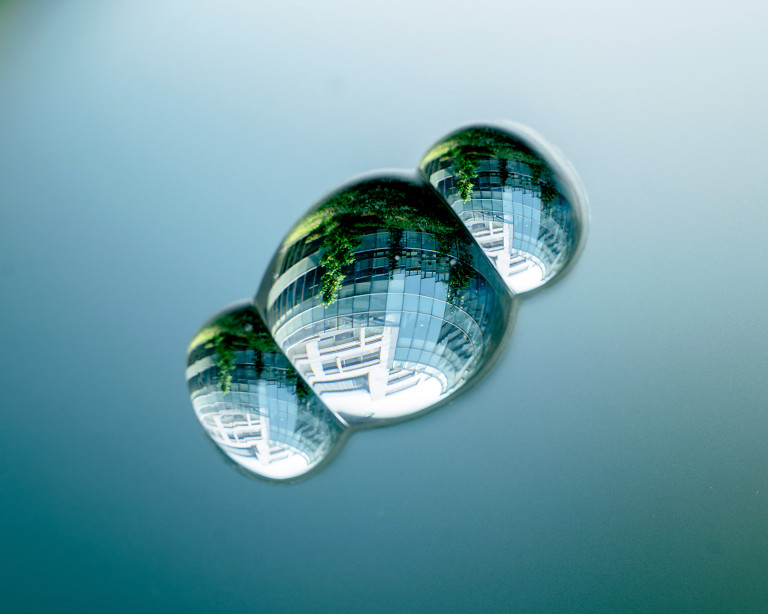 Permanent installation of Art glass at National Biotechnology Research Park in Taipei, Taiwan