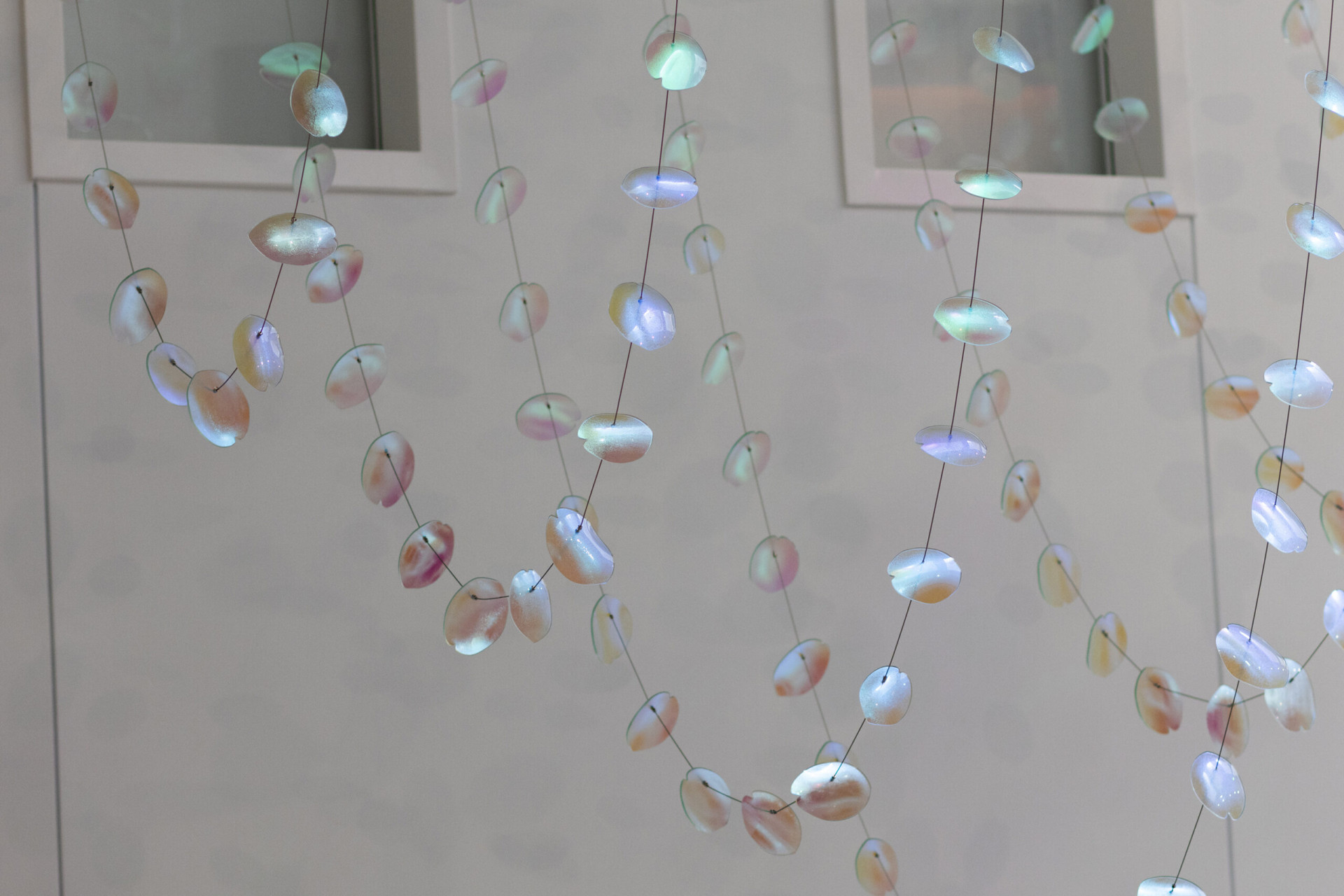 Slumped dichroic glass petals