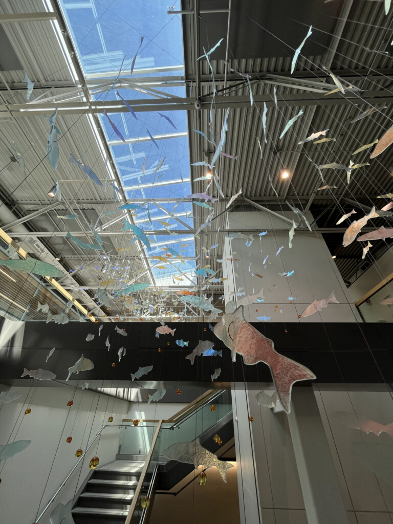 Shoal-of-Returning-Hope_view-from-below